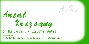 antal krizsany business card